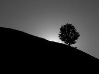 Landscape - Black Sunset - Digital